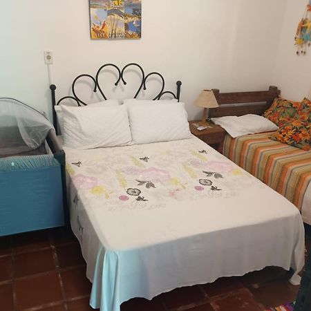 Casa No Morro - Charme Em Meio A Natureza Pertinho Da Praia 3 Dormitorios Sao Sebastiao  Zewnętrze zdjęcie
