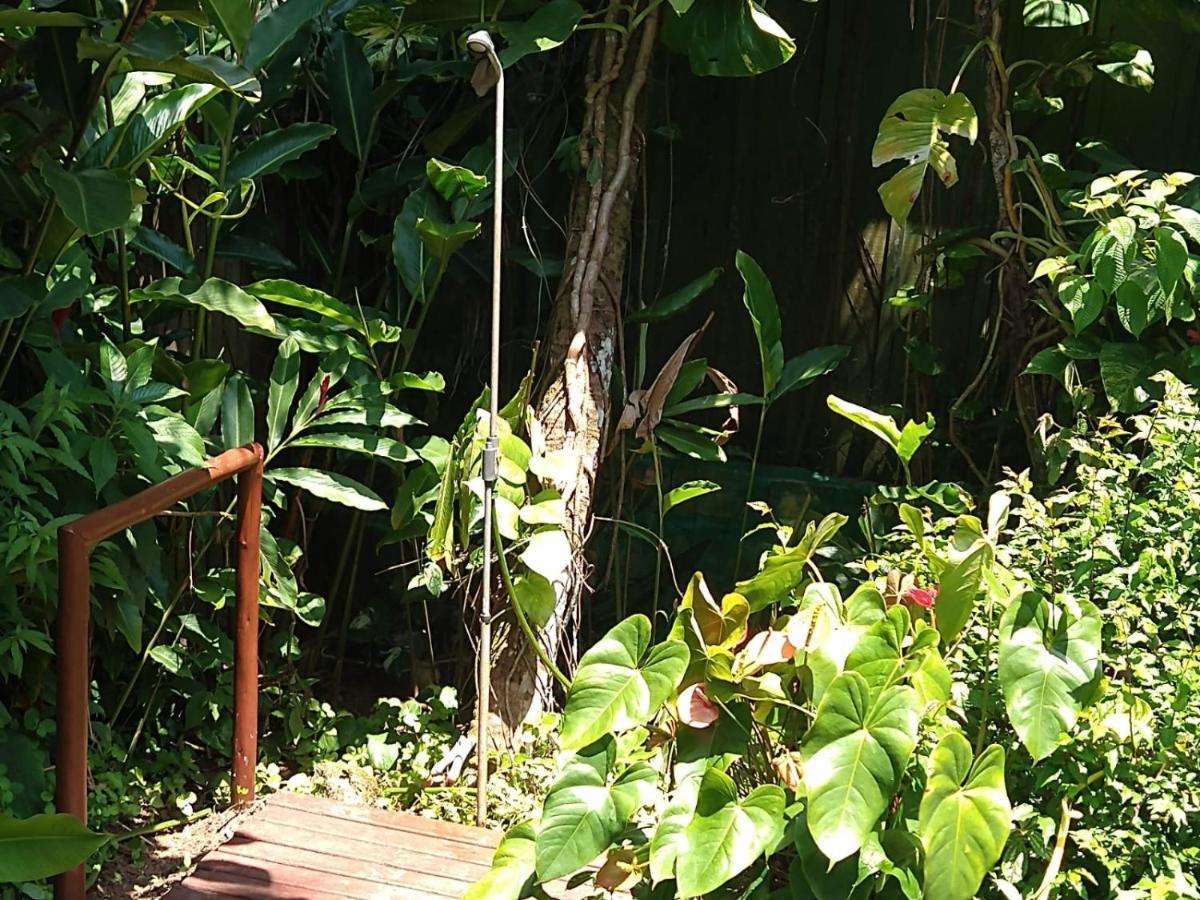 Casa No Morro - Charme Em Meio A Natureza Pertinho Da Praia 3 Dormitorios Sao Sebastiao  Zewnętrze zdjęcie
